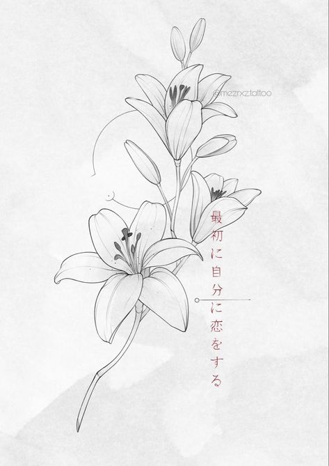 Callily Flowers Tattoo, Tiger Lily Outline, Lily Flower Stencil, Lily Tattoo Stencil, Lily Back Tattoo, White Lily Tattoo, Flower Stencil Tattoo, Sketches Flowers, Tattoo Belly