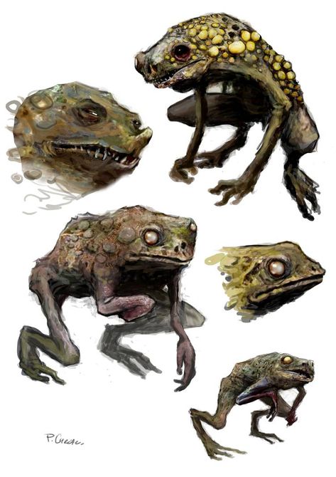 Horror Frogs by chrzan666 on DeviantArt Frog Creature Concept Art, Frog Monster Art, Fantasy Frog Art, Frog Concept Art, Toad Monster, Fantasy Frog, Frog Monster, Frog Character, Arte Viking