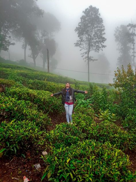 COONOOR- A SANCTUARY OF TRANQUILITY | The Globetrotter Sush Yercaud Photoshoot, Hike Photography, Definition Of Beauty, Travel Pose, Travel Pictures Poses, Munnar, Selfie Photography, The Mundane, Friend Poses Photography