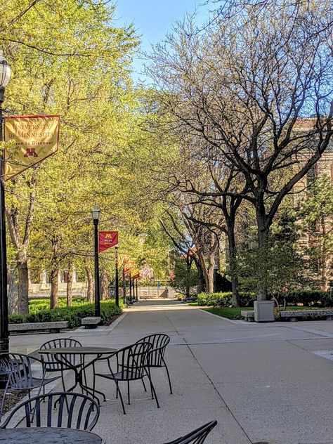 University Of Minnesota Duluth, University Of Minnesota Aesthetic, Minnesota University, University Of Minnesota Twin Cities, Romanticizing College, College Core, Row The Boat, University Aesthetic, Minnesota Gophers