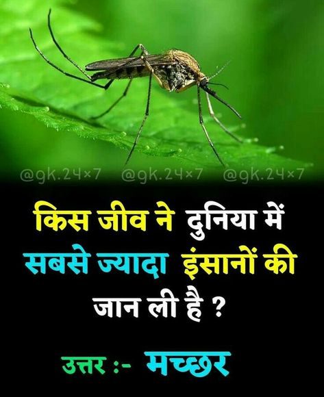 Gk Wallpaper, Interesting Facts About Animals, Youtube Facts, Increase Knowledge, Fun Facts About Life, Interesting Science Facts, Biology Facts, True Interesting Facts, Gk Questions And Answers