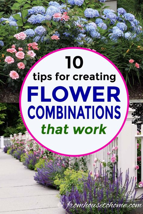 Plant Combinations: 10 Tips For Creating Flower Combinations That Work | Garden Design Best Flowers For Raised Flower Beds, Colorful Landscaping, Flower Combinations, Raised Flower Beds, Container Gardening Flowers, Perennial Shrubs, Evergreen Plants, Spring Plants, Sun Plants