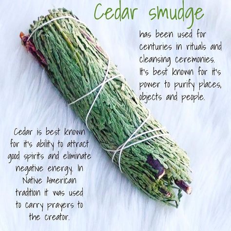 Stardust & Sage Botanica on Instagram: “🌲stardustandsage.com🌲Cedar smudge sticks have been used for centuries in rituals and cleansing ceremonies. It's best known for it's power…” Cedar Smudge Sticks, Smudge Sticks Diy, Cleaning Energy, Diy Incense, Sage Crystals, Smudging Prayer, Cedar Smudge, Sage Smudging, Native American Traditions