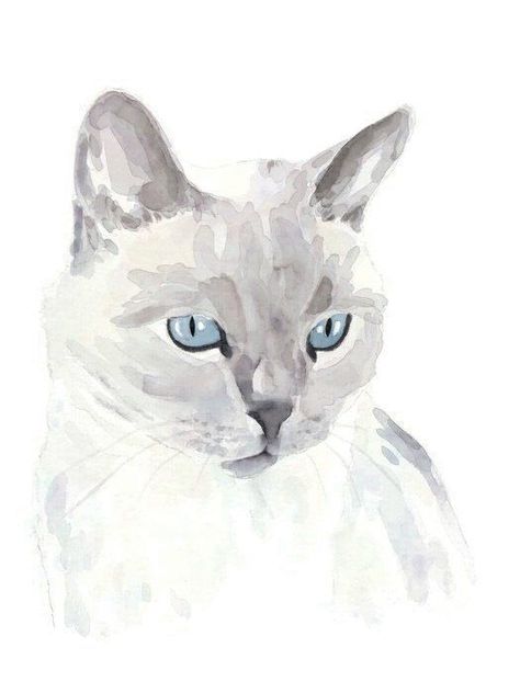 Cat Art Painting, Custom Cat Portrait, Watercolor Pet Portraits, Pet Art, Cat Artwork, Cat Portrait, 수채화 그림, Custom Dog Portraits, Watercolor Cat