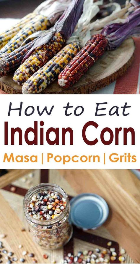 Yes, you can eat Indian Corn! Read how to harvest and grind the colorful corn into flour, to use it as popcorn, and how it evolved into Modern Sweet Corn. Indian Corn Recipes, Colored Corn, Flint Corn, Best Indian Recipes, Easy Juice Recipes, Gluten Free Shopping, Dried Corn, Indian Corn, Clean Eating For Beginners