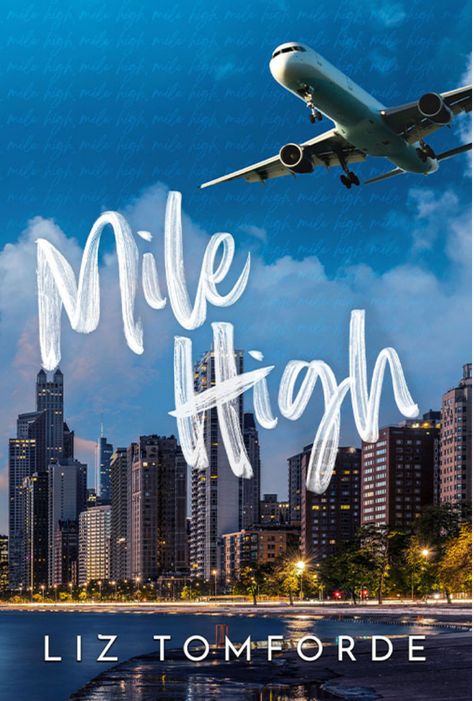 Mile High (Windy City, #1) by Liz Tomforde | Goodreads Windy City Series, Liz Tomforde, One Night Stand, Private Plane, Sports Romance, Romance Series, The Windy City, Mile High, Book Boyfriends