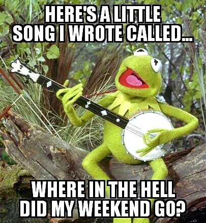 Where The Hell Did My Weekend Go? Memes Kermit, Sapo Kermit, Bae Funny, Kermit The Frog Gif, Die Muppets, Kermit Funny, Frog Wallpaper, Rainbow Connection, The Muppet Show