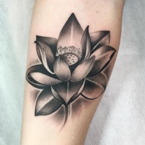 Realistic Lotus Tattoo, White Lotus Tattoo, Black Lotus Tattoo, Lotus Tattoo Meaning, Lotus Flower Tattoo Meaning, Lotusblume Tattoo, Realistic Flower Tattoo, Lotus Flower Tattoo Design, Lotus Tattoo Design