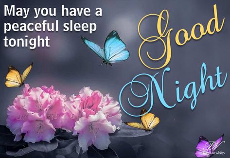 Good Night – May you have a peaceful sleep tonight The post Good Night – May you have a peaceful sleep tonight appeared first on Premium Wishes. Have A Peaceful Night, Good Night Msg, Bow Pillows, Wishes Images, Good Night Wishes, Night Wishes, Good Night Messages, Faith Prayer, Good Night