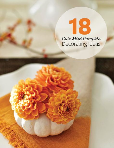 18 adorable mini pumpkin decorating ideas: http://www.midwestliving.com/homes/seasonal-decorating/how-to-decorate-with-mini-pumpkins/ Mini Pumpkin Ideas, Mini Pumpkin Decorating Ideas, Mini Pumpkin Decorating, Pumpkin Decorating Ideas, Ornamental Cabbage, Carved Pumpkins, Fall Decorating Ideas, Orange Table, Midwest Living