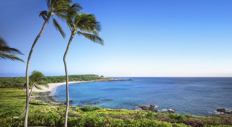 When the tech billionaire bought Lanai, it made headlines. Now he’s at it again with the opening of Hawaii’s, if not the world’s, best new hotel resort. Lanai Hawaii, Lanai Island, Four Seasons Resort, Ocean Sounds, Holiday Resort, Luxury Retreats, Hawaii Island, Golf Resort, Luxury Vacation