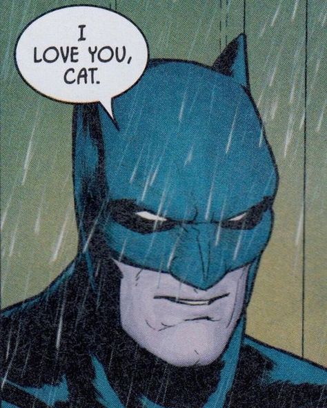 Batman Comics Panels, Batman Comic Funny, Batman Aesthetic Comic, Batcat Aesthetic, Literally Me Characters Icon, Batman Comic Panels, Funny Batman Pictures, The Bat And The Cat, Cat Batman