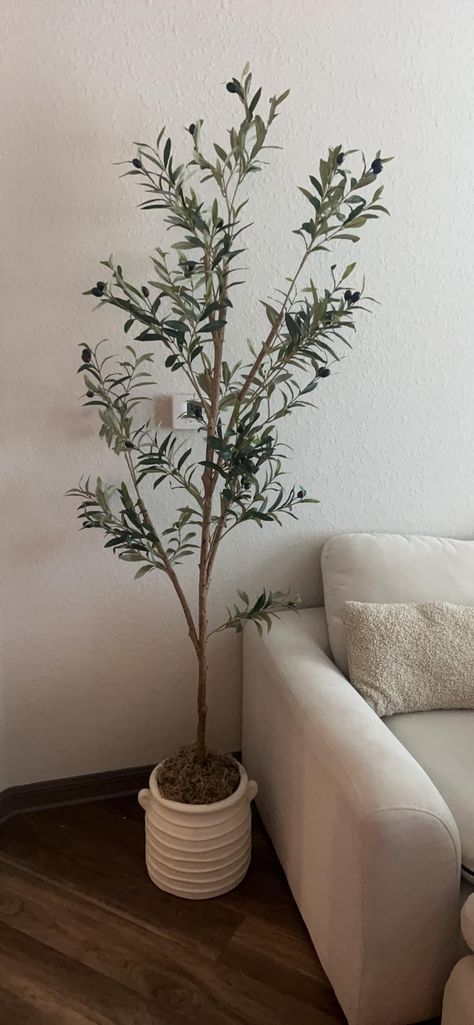 Amazon.com: TDIAOL Artificial Olive Tree 6FT, Tall Faux Olive Trees Indoor Fake Olive Tree with Realistic Leaves and Fruits, Artificial Plants for Home Office Decor Gift : Home & Kitchen Olive Trees Indoor, Olive Tree Indoor, Fake Olive Tree, Plants For Home Office, Artificial Olive Tree, Plants For Home, Artificial Plants Indoor, Faux Olive Tree, Fake Trees