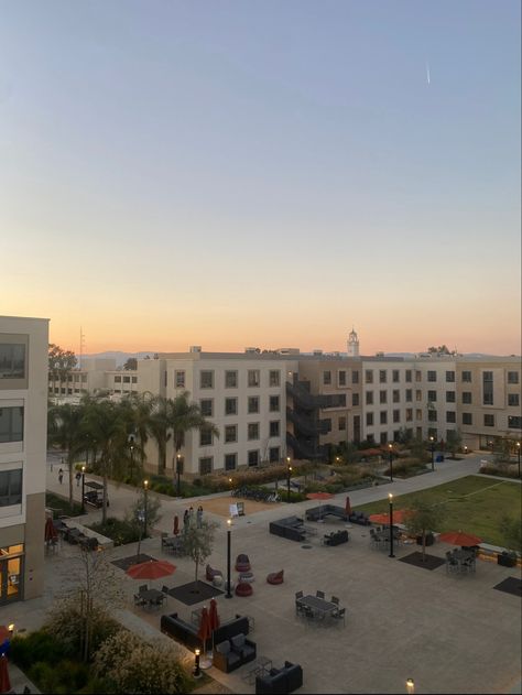 LMU Palm Quad Loyola Marymount University Aesthetic, Lmu University, Loyola Marymount University, La Life, Small Girl, Dream College, Cali Girl, Grad Photos, College Campus