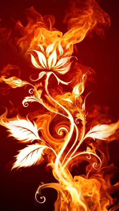 iPhone 5 Wallpapers HD - Retina ready, stunning wallpapers Jesus Hands, Tato Phoenix, Galaxia Wallpaper, Fire Eyes, Chinese Tattoo, Iphone 5 Wallpaper, Fire Image, Fire Photography, Fire Element