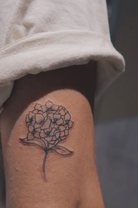 Minimalist Hydrangea Tattoo, Hydrangea Fine Line Tattoo, Tiny Hydrangea Tattoo, Black And White Hydrangea Tattoo, Hygrandea Tattoo, Hydrangea Tattoo Black And White, Hydrangea Tattoo Sleeve, Small Hydrangea Tattoo, Blue Hydrangea Tattoo