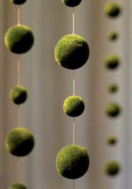 moss Kokedama Plants, Expensive Wedding, Enchanted Forest Party, String Garden, Cheap Stuff, Moss Ball, Moss Decor, Forest Party, Ball Garland