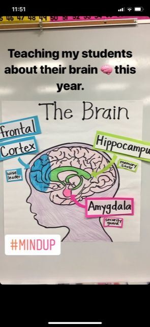 Mind Up Anchor Chart Parts of the Brain Brain Anchor Chart, Mindset Monday, Parts Of The Brain, Mental Break, Classroom Anchor Charts, Brain Learning, Science Lesson, Science Lesson Plans, 5 Senses