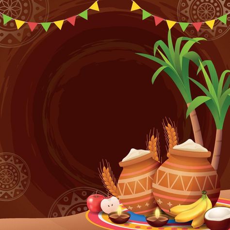 Pongal Festival Images Background, Pongal Background Images, Pongal Festival Photography, Pongal Banner Background, Pongal Creative Ads, Pongal Video, Pongal Background, Pongal Photos, Pongal Festival Images