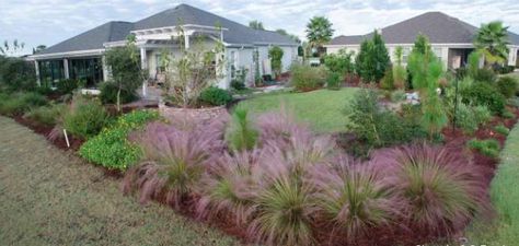 Transformation: from Turf to Florida Native Plants - TheVillages Native Plant Landscape, Florida Native Plants, Florida Cottage, Florida Landscaping, Florida Plants, Natural Landscaping, Florida Water, Sustainable Landscaping, Nature Home