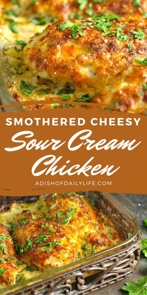 Smothered Cheesy Sour Cream chicken...an easy weeknight dinner the whole family will love (even the pickiest of eaters)! Cheesy Sour Cream Chicken, Cream Chicken, Chicken Breast Recipes Baked, Sour Cream Chicken, Chicken Entrees, Easy Weeknight Dinner, Chicken Main Dishes, Thigh Recipes, Chicken Recipes Casserole