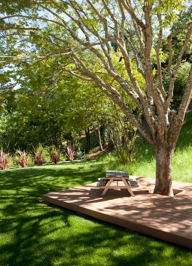 Shades of Green Landscape Architecture created this wooden patio under the trees for a project in Orinda, CA. Deck Around Trees, Tree Deck, Landscaping Around House, Landscaping Around Trees, Floating Deck, Wooden Patios, Under A Tree, Landscape Designs, Have Inspiration