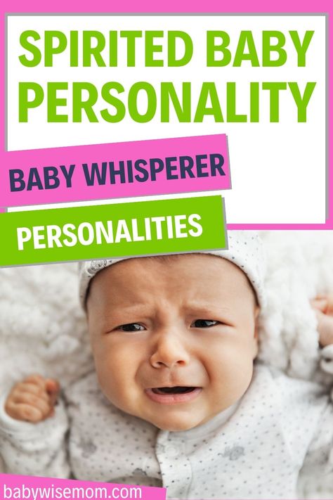 Learn about the spirited baby personality type as described by Tracy Hogg in the Baby Whisperer books. Learn what to expect from your baby. Potty Training Help, Baby Whisperer, Baby Help, Baby Schedule, Motherhood Inspiration, Parenting Knowledge, Help Baby Sleep, Parenting Help, Organized Mom