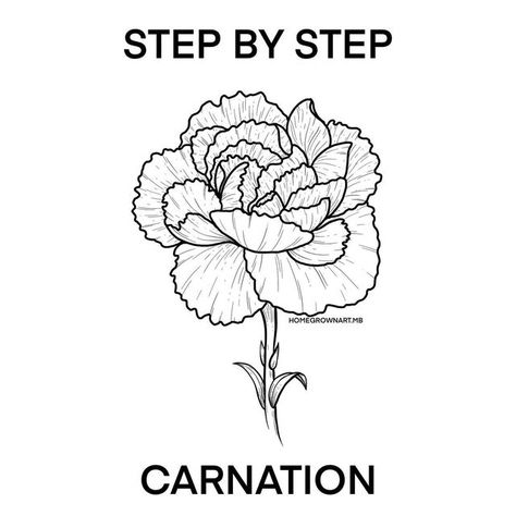 Kaily Wilson on Instagram: "STEP BY STEP CARNATION A first for carnation tutorials on this page, but I had so much fun doing it. Today is the final tutorial of the week long - 100k partay 🥳. I’ll be taking tomorrow (Wednesday tutorial) off to recover a bit, and I’ll be back with you Friday for the next one! I hope you were able to take something away from this past week, thank you so much for being here. I wouldn’t be able to do what I do without you 🙂 ❤️Kaily" Carnation Flower Tattoo Stencil, How To Draw A Carnation Step By Step, Easy Carnation Drawing, How To Draw Carnations Step By Step, Draw Carnation Flower, How To Draw Carnations, How To Draw A Carnation, Carnation Flower Outline, Carnation Drawing Simple