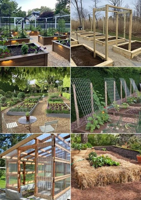 Unique Raised Garden Beds, Gardening Beds, Diy Raised Garden Bed, Raised Garden Bed Ideas, Garden Bed Ideas, Chicken Coop Garden, Florida Gardening, Diy Raised Garden, Raised Garden Beds Diy