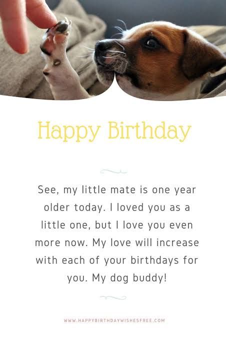 Dog Birthday Quotes, Cute Happy Birthday Quotes, Dog Birthday Wishes, Great Birthday Wishes, Happy Birthday Puppy, Nicknames For Friends, Happy Birthday Captions, Puppy Quotes, Dogs Birthday