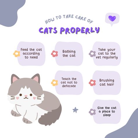 How To Take Care Of A Cat, Taking Care Of Pets, Tips For Cat Owners, Cat Owner Hacks, Taking Care Of Kittens, Getting A Kitten, Animals Care, Healthy Cat, Dream's Cat