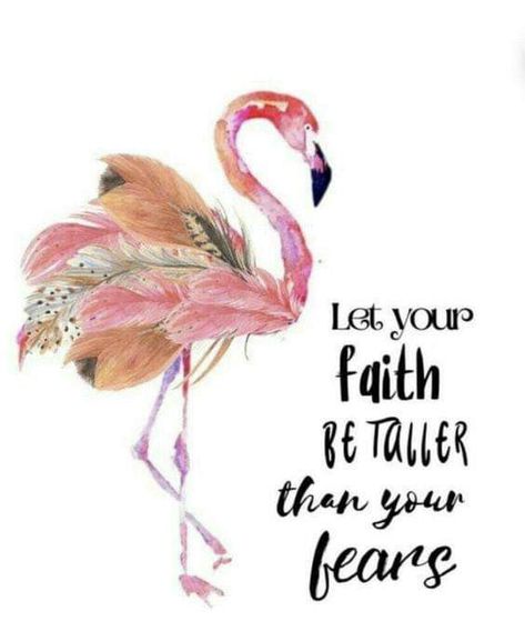 Flamingo Quotes Funny, Flamingo Quotes Inspiration, Flamingo Sayings, Flamingo Quotes, Pink And Black Butterfly, Flamingos Quote, Flamingo Clipart, Flamingo Artwork, Be Taller