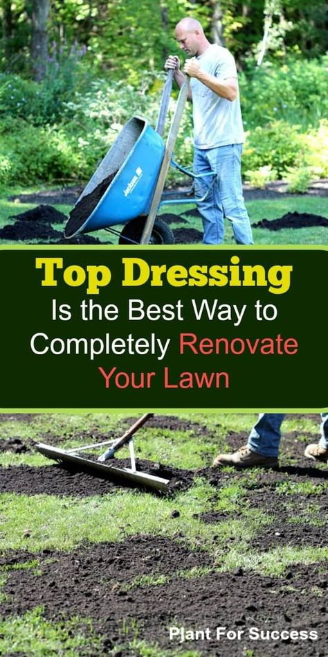 Learn the benefits of top dressing and just how to do it. Lawn Repair Step By Step, Top Soil For Lawn, Top Dressing Lawn, Topdressing Lawn, Grassless Yard, Farmhouse Property, Overseeding Lawn, Centipede Grass, Lawn Renovation