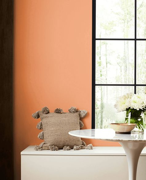 SW 6633 Inventive Orange paint color by Sherwin-Williams is a Orange paint color used for interior paint projects. Visualize, coordinate, and order color samples here. Orange Paint Colors, Kid Bedroom, Sherwin Williams Paint Colors, Orange Paint, Paint Projects, Color Samples, Sherwin Williams, Paint Color, Interior Paint