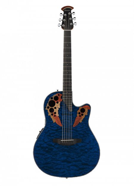 Ovation Guitar, Reo Speedwagon, Blue Song, Sound Studio, Cool Electric Guitars, Black Neck, Bridge Design, Beautiful Guitars, Painting Rocks