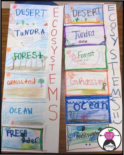 Animal Research and Ecosystem Project Grasslands Biome Project, Ecosystem Activities 3rd, Ecosystem Science Project, Habitats Grade 4, Ecosystem Projects For Kids, Ecosystem Activities For Kids, Ecosystems 3rd Grade, 3rd Grade Projects, Ecosystems 4th Grade