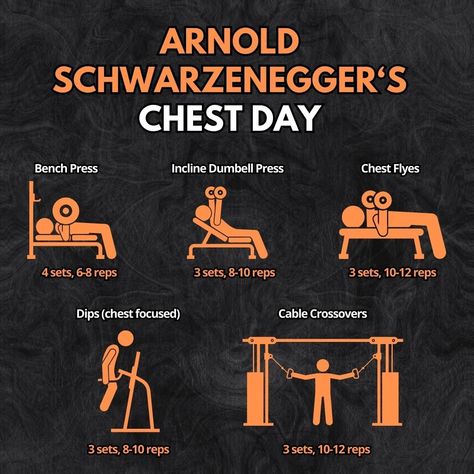 Follow Us For More Update...🏋️ @workoutofig Credit :- @ dm for credit/removal Save this post to remember it . . #gymtips #chestday #chestworkout #chestexercises #benchpress #chestflys #fitness #workout #gym #exercises #chest #fitnessgoal #fitnesstips #bodybuilder Arnold Chest Workout, Arnold Schwarzenegger Chest Workout, Arnold Schwarzenegger Gym, Arnold Bodybuilding, Arnold Schwarzenegger Bodybuilding, Chest Day, Schwarzenegger Bodybuilding, Gym Exercises, Fitness Vision Board