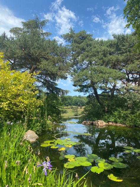 Lots of greenery. Tranquil pond with lily pads. Plants, wildlife, on a sunny day. Pond Wallpaper, Botanic Park, Botanical Aesthetic, Chicago Park, Birthday Plans, Chicago Botanic Garden, Sensory Garden, Birthday Planning, Botanic Gardens