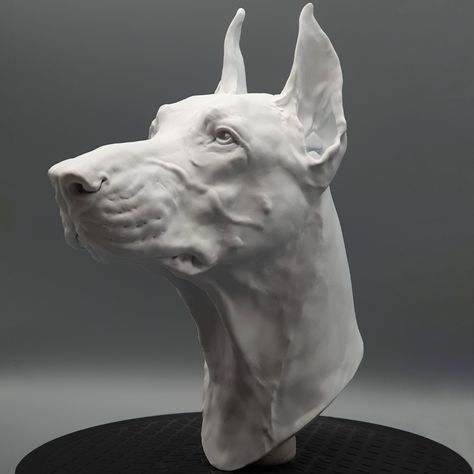 Dog Head Sculpture, Zbrush Animals, Doberman Reference, Demon Dnd, Anatomy Shading, Alexander Ward, Birds Aesthetic, Doberman Pinscher Puppy, Dinosaur Sketch