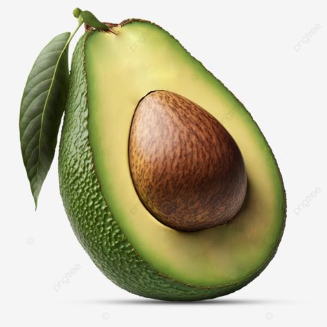 photo of avocado Avocado Picture Art, Avocado Reference, All Fruits Images, Avocado Images, Food Reference Photos, Avocado Photography, Avocado Nails, Avocado Photo, Avocado Drawing