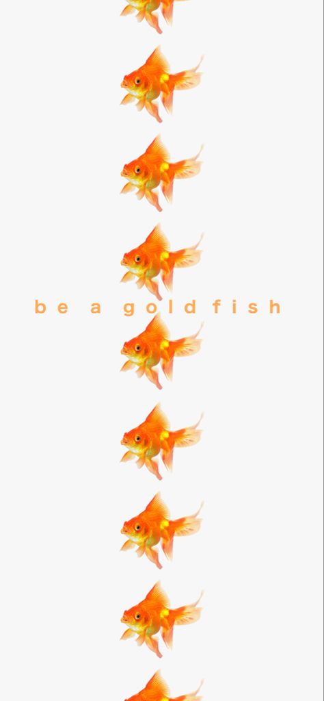 Be A Goldfish Ted Lasso Wallpaper, Ted Lasso Phone Wallpaper, Ted Lasso Wallpaper Aesthetic, Ted Lasso Lockscreen, Afc Richmond Wallpaper, Ted Lasso Tattoo Ideas, Ted Lasso Wallpaper Iphone, Ted Lasso Tattoo, Ted Lasso Wallpaper