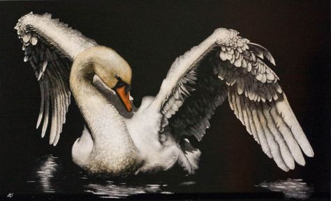 Swan Illustration, Swan Wings, Swan Art, Swan Painting, Figurative Kunst, The Dancer, Swan Lake, Arte Fantasy, Black Swan