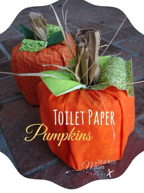 50 Amazing Craft Ideas for Seniors | FeltMagnet Craft Ideas For Seniors, Toilet Paper Pumpkins, Elderly Crafts, Nursing Home Crafts, Ideas For Seniors, Senior Crafts, Fall Craft Ideas, Fall Crafts For Adults, Amazing Craft Ideas