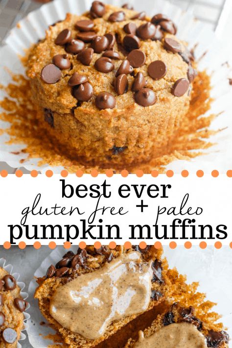 Almond Flour Pumpkin Muffins, Almond Flour Pumpkin, Paleo Pumpkin Muffins, Gluten Free Pumpkin Muffins, Pumpkin Recipes Healthy, Homemade Pumpkin Puree, Paleo Pumpkin, Low Carb Diet Recipes, Healthy Low Carb Recipes