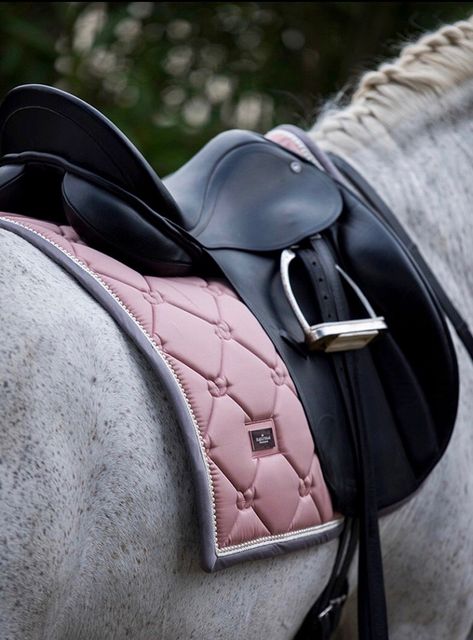 Blush Pink Quilted Satin Saddle Pad Dressage Saddle Pad, Equestrian Helmet, Horse Fashion, Horse Equipment, Horse Gear, Dressage Saddle, English Riding, Riding Hats, Equestrian Lifestyle