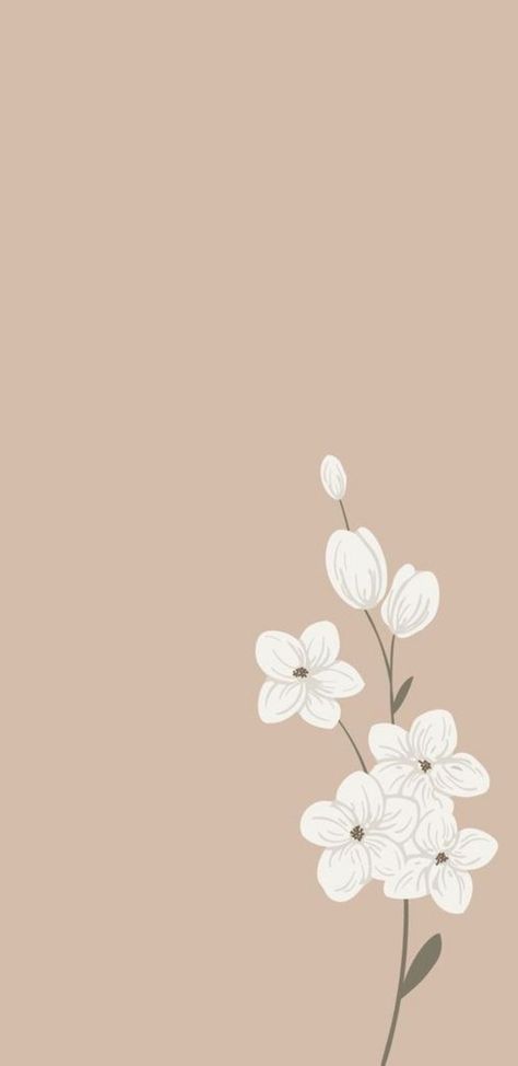 Creme Color Background Aesthetic, Nude Wallpapers Aesthetic Iphone, Neutral Color Wallpaper Iphone, Modern Phone Backgrounds, Nude Wallpapers Aesthetic, Neutral Colour Wallpaper Iphone, Nude Color Wallpaper, Background Wallpapers Aesthetic, Flower Lockscreen