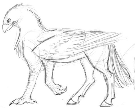 Buckbeak Drawing, Mythical Creature Drawings Sketches, Griffin Drawing, Animal Sketches Easy, Mythical Creatures Drawings, Mystical Animals, Fantasy Drawings, Harry Potter Drawings, Creature Drawings