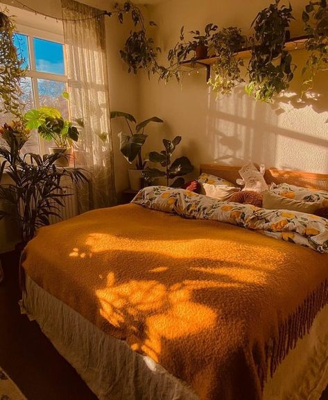 Decor | bohemain | Boho (@mybohodecor) • Instagram photos and videos Hufflepuff Room Decor, Hufflepuff Bedroom, Wall Decor Plants, Street Bedroom, Cozy Home Decor Ideas, Cottagecore Bedroom, Plants House, Farmhouse Room, Bedroom Cozy