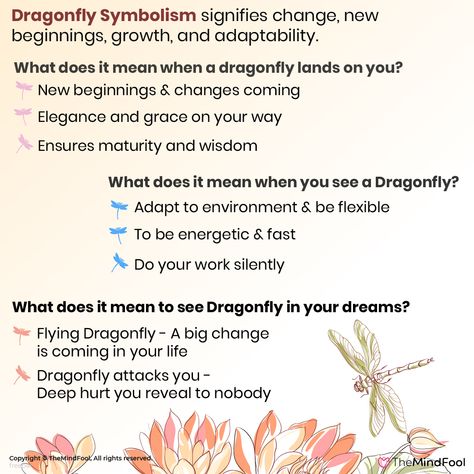 Dragonfly meaning symbolizes light and change. It is a spirit animal that is said to arrive from the realms of spirits, fairies, and magical beings. The Dragonfly symbolism is used to indicate personal transformation and the ability to learn and adapt in life. It is a gentle reminder that the world is full of possibilities. #DragonflyMeaning #DragonflySymbolism #DragonflyMeaningandSymbolism #spirituality #spiritual #meditation #spiritualawakening #peace #healing #life #god #wisdom #mindfulness Dragon Fly Symbolism, Dragonfly Significance, Dragon Fly Spiritual Meaning, Dragonfly Spirit Animal, Seeing Dragonflies Meaning, Meditation Signs, Dragonfly Tattoo Meaning, Dragonfly Meaning Spiritual, Dragonfly Spiritual