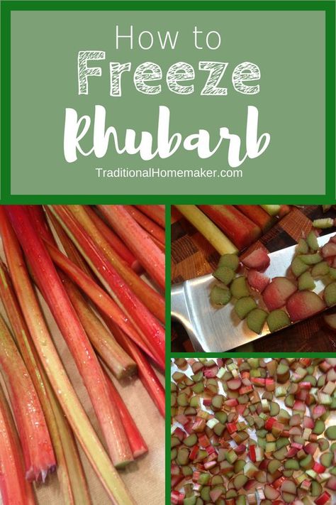 How to Freeze Rhubarb #howtofreezerhubarb #rhubarb #freezerhubarb Freezing Rhubarb How To, How To Freeze Rhubarb, Can You Freeze Rhubarb, Freezing Rhubarb, Freeze Fruit, Freezing Veggies, Freeze Rhubarb, Rhubarb Jam Recipes, Freezing Fruit